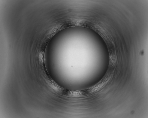 X0000101140286200806270927