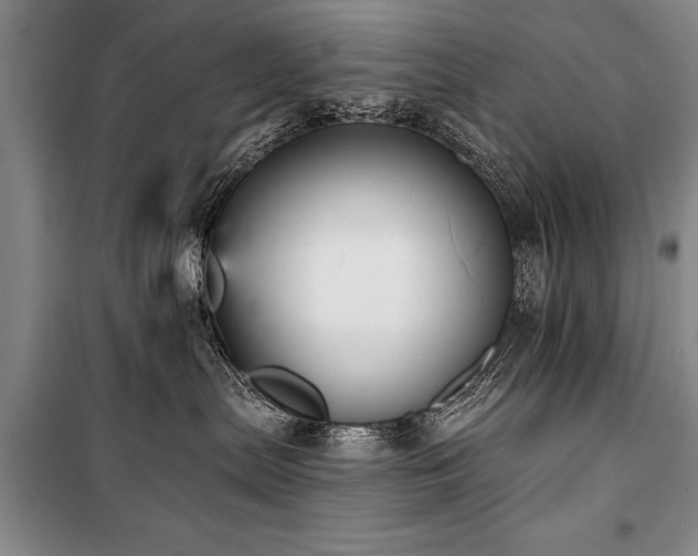 X0000101140287200806270927