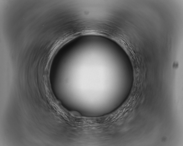 X0000101140289200806270926