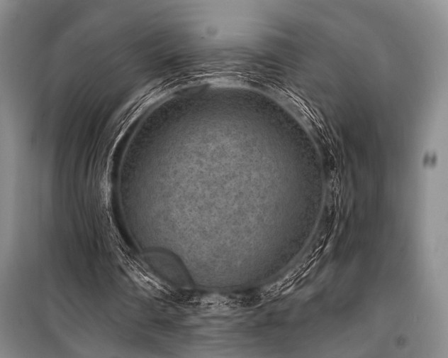 X0000101140290200806270926