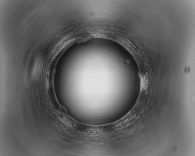 X0000101140291200806270926