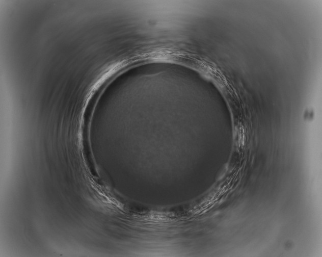 X0000101140292200806270926