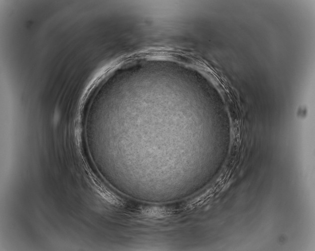 X0000101140293200806270926