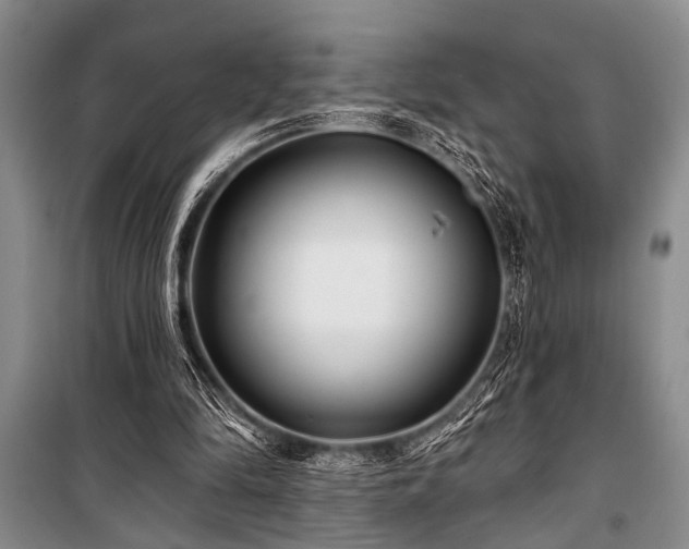 X0000101140294200806270926