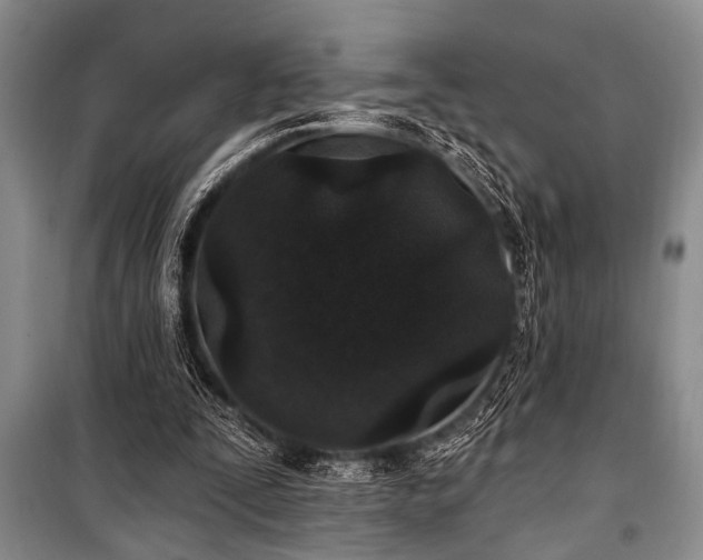 X0000101140295200806270926