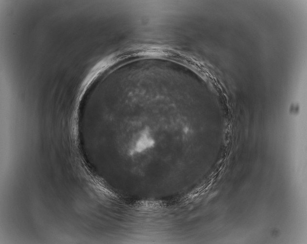 X0000101140296200806270926