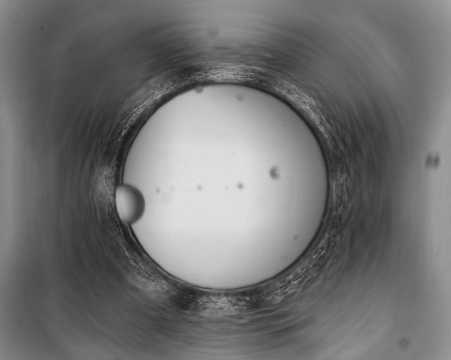 X0000101140297200806270926