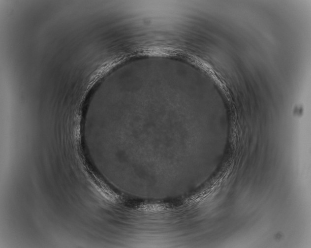 X0000101140299200806270926