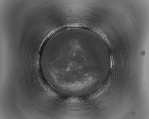 X0000101140300200806270926