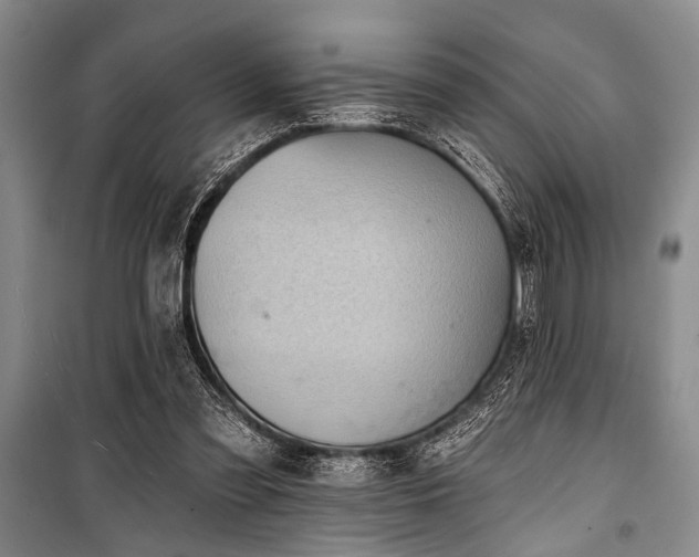 X0000101140301200806270926