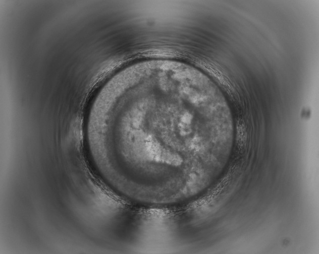 X0000101140302200806270926