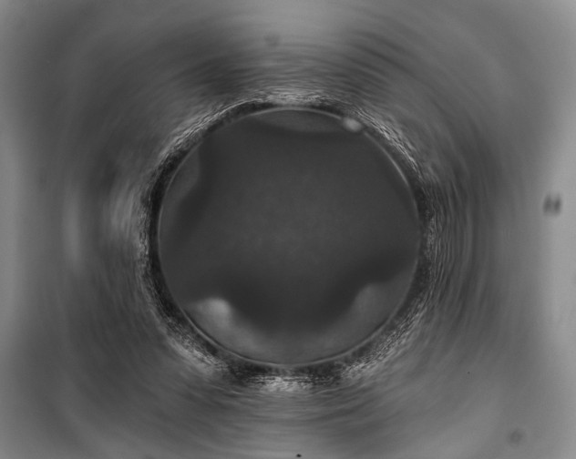 X0000101140303200806270926