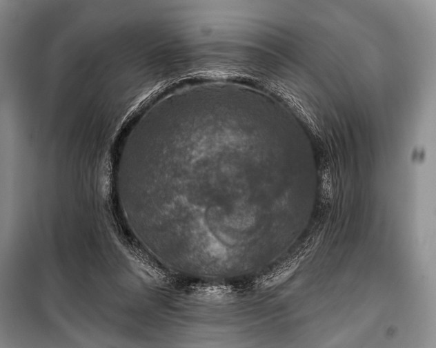 X0000101140304200806270926