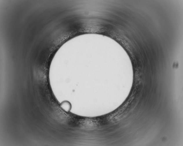 X0000101140305200806270926