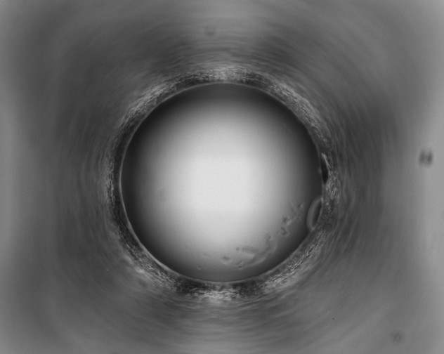 X0000101140306200806270926