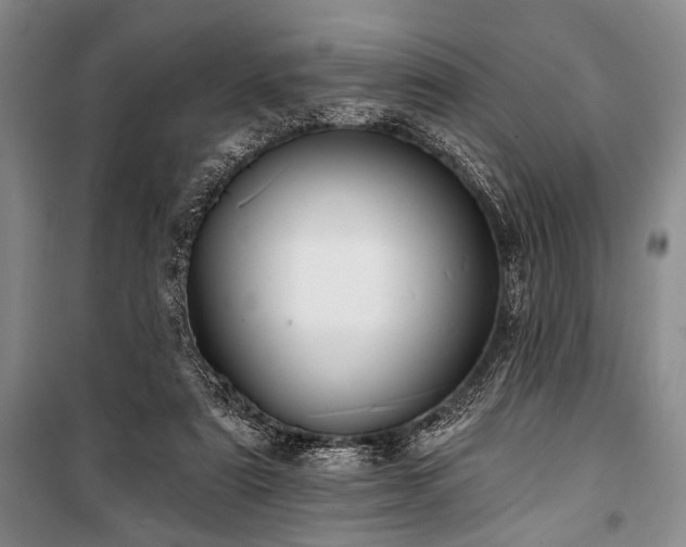 X0000101140307200806270926