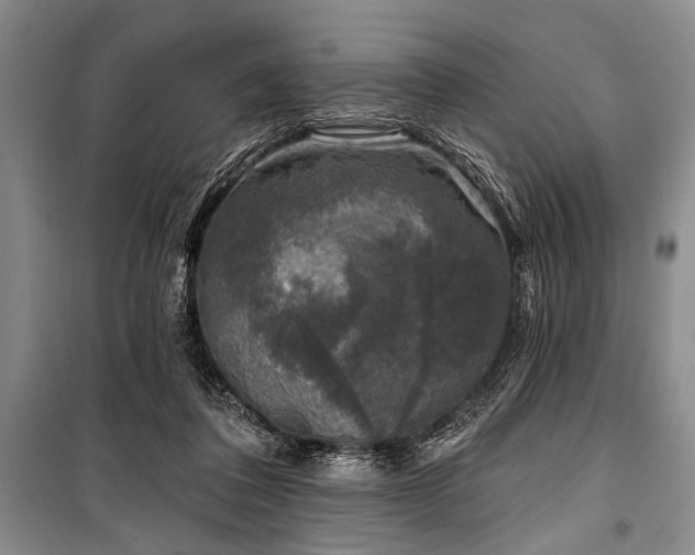 X0000101140308200806270926