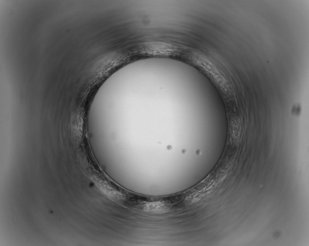 X0000101140309200806270926