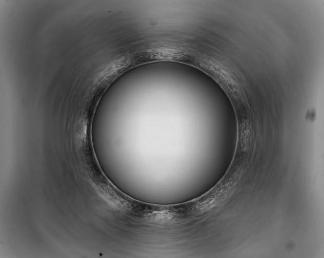 X0000101140310200806270926