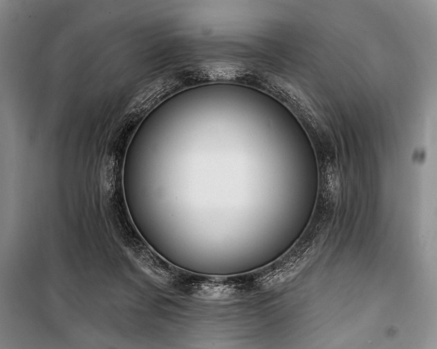 X0000101140311200806270926