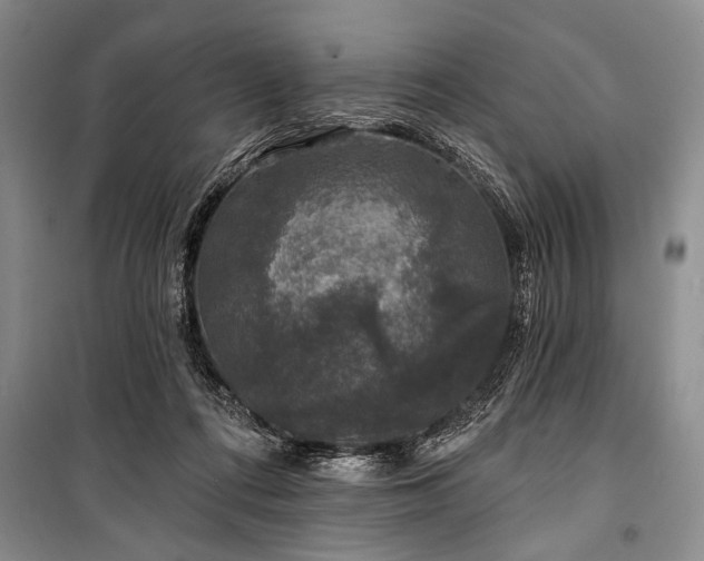 X0000101140312200806270926