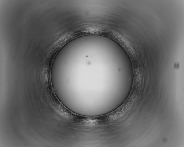 X0000101140313200806270926