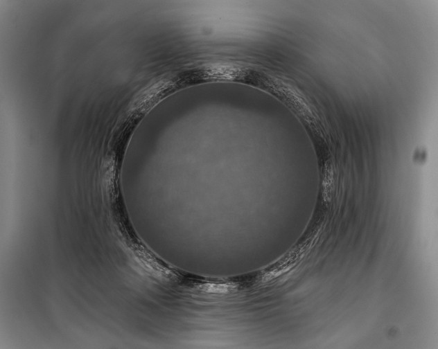 X0000101140314200806270926