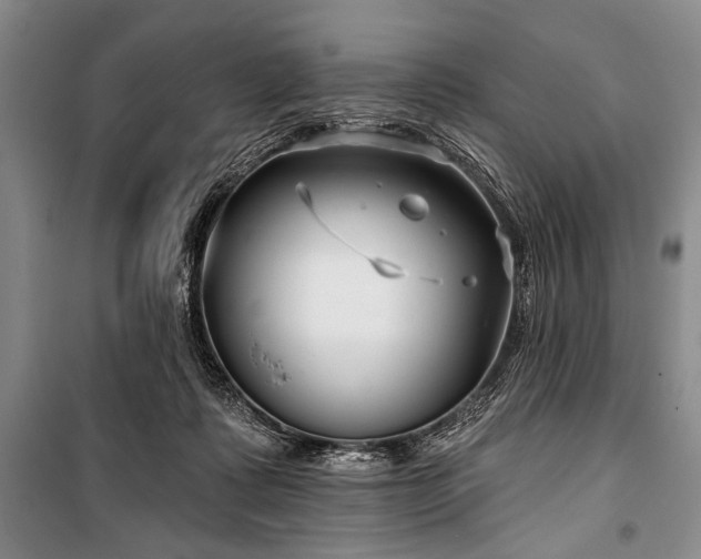 X0000101140315200806270926