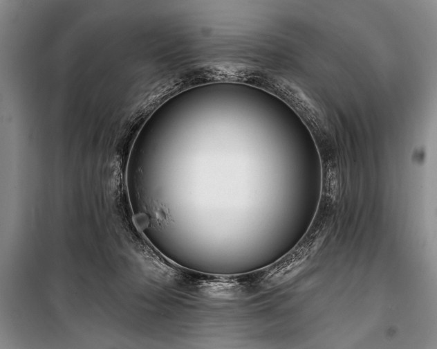 X0000101140318200806270926