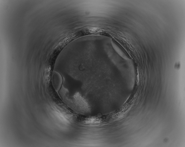 X0000101140319200806270926