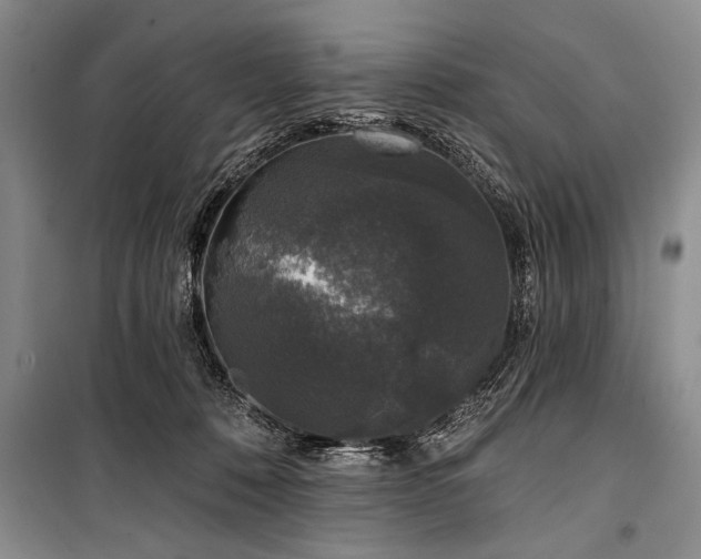 X0000101140320200806270926