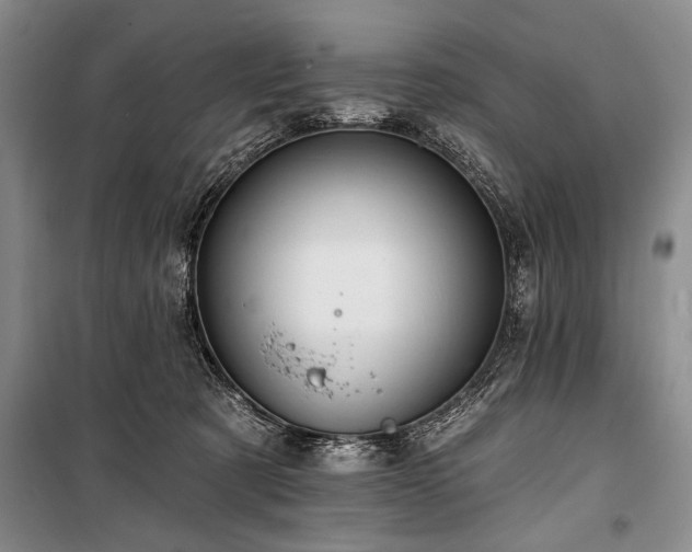 X0000101140321200806270926