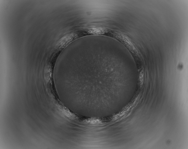 X0000101140322200806270926