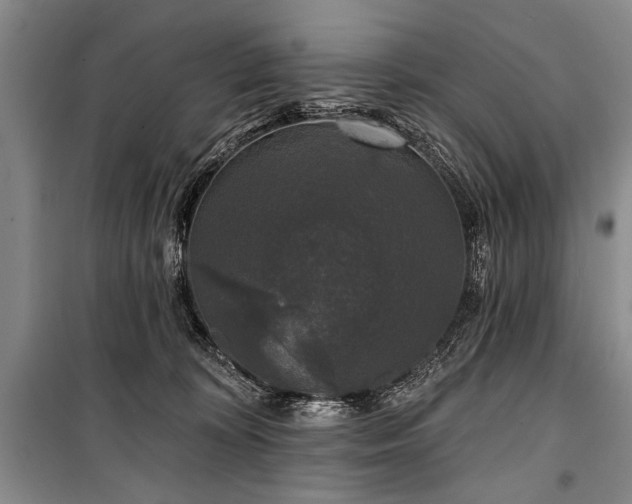 X0000101140324200806270926