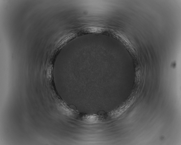 X0000101140325200806270926