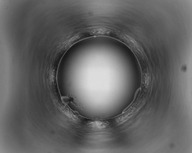 X0000101140326200806270925