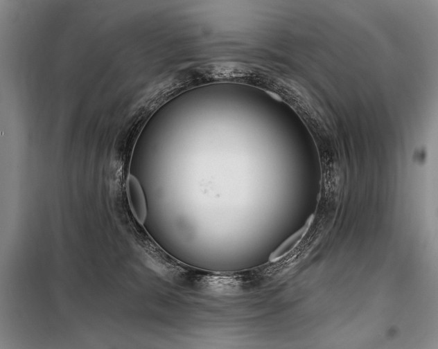 X0000101140327200806270925