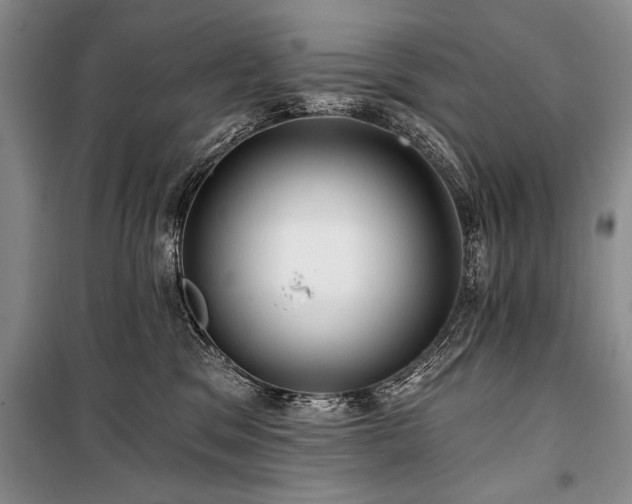 X0000101140329200806270925