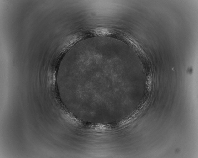 X0000101140330200806270925