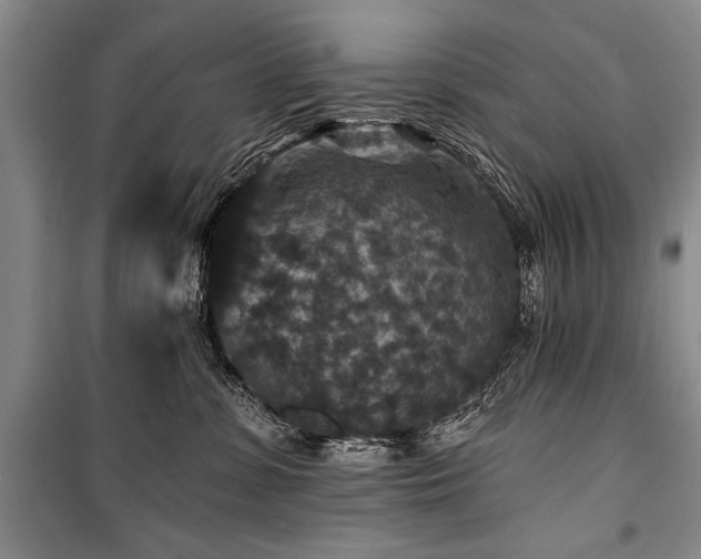 X0000101140331200806270925