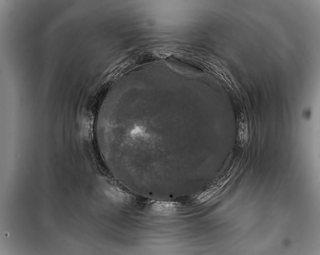 X0000101140332200806270925