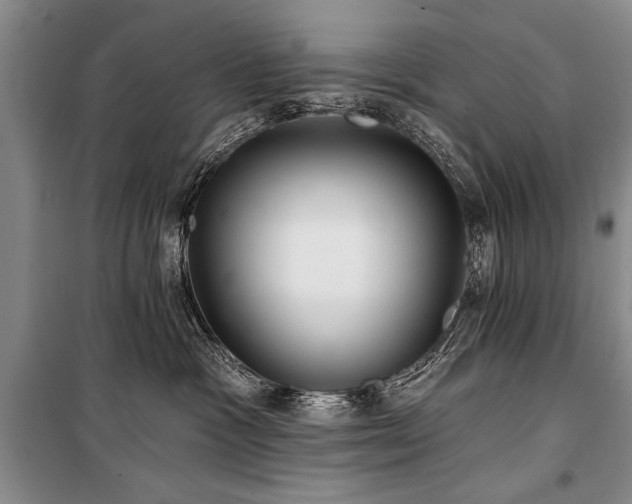 X0000101140333200806270925