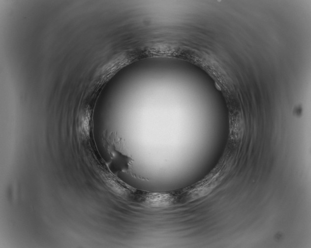 X0000101140334200806270925