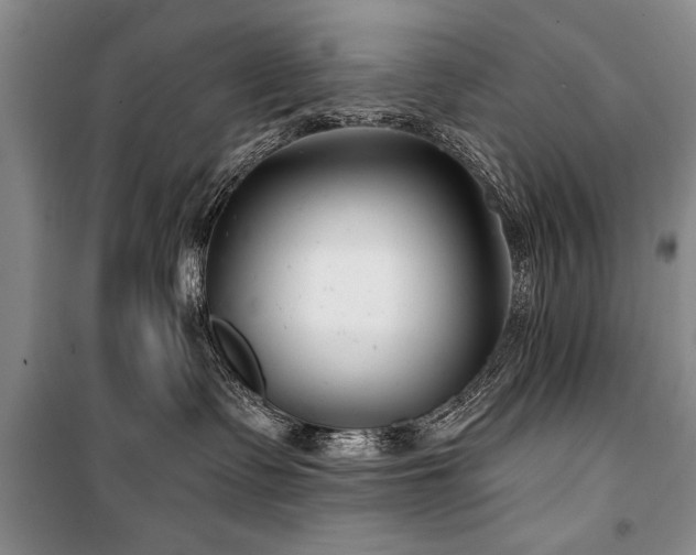 X0000101140335200806270925