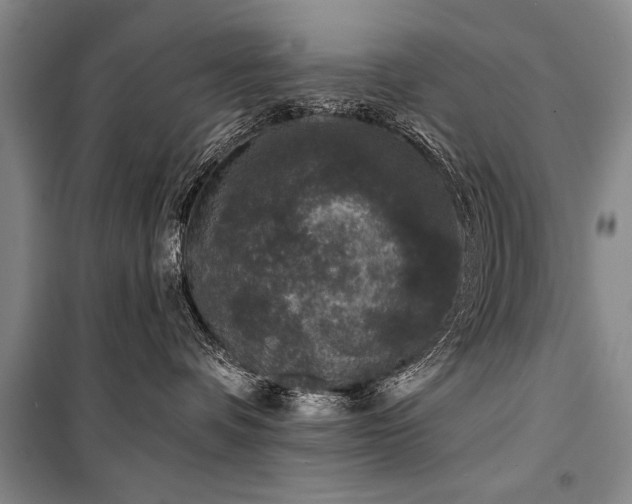 X0000101140336200806270925