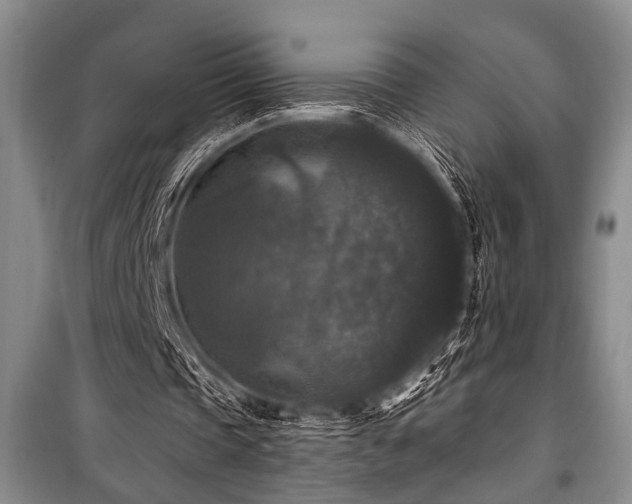 X0000101140337200806270925