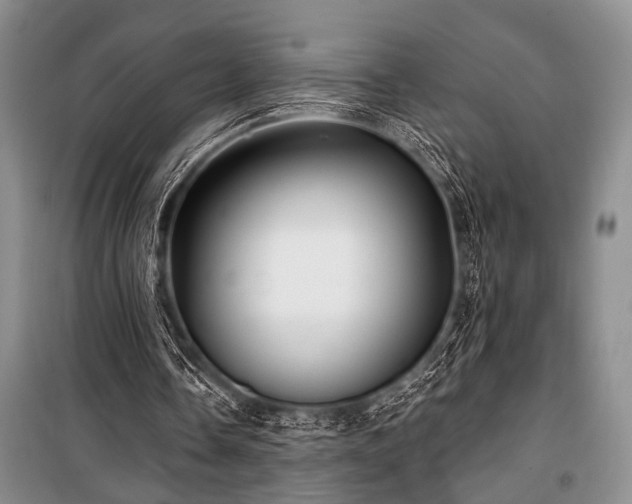 X0000101140338200806270925