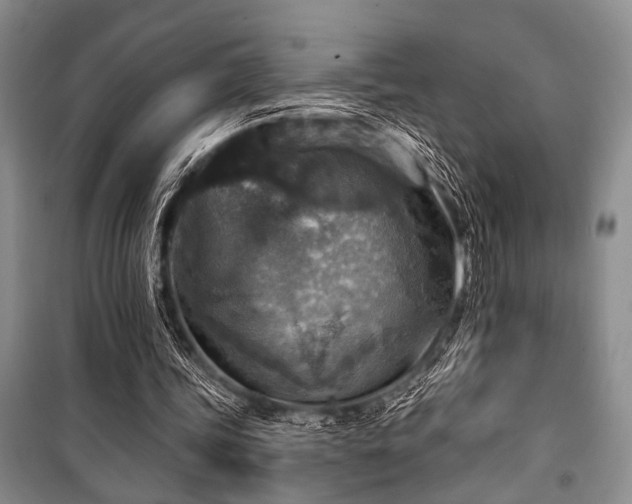 X0000101140339200806270925