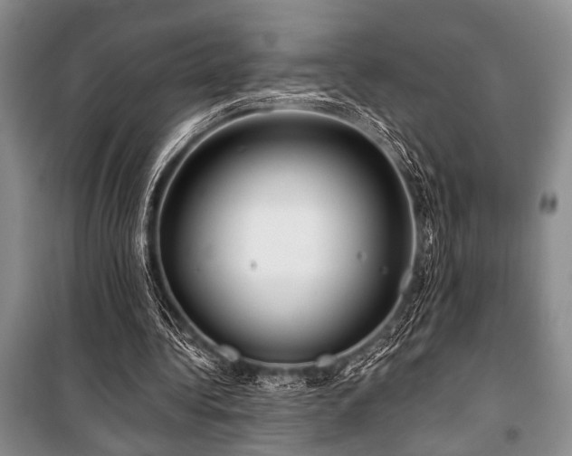 X0000101140340200806270925