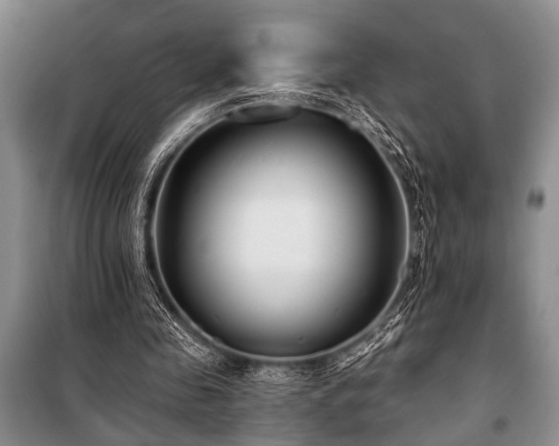 X0000101140341200806270925